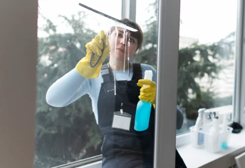 Nettoyage de vitres intérieures et extérieures à Damvix